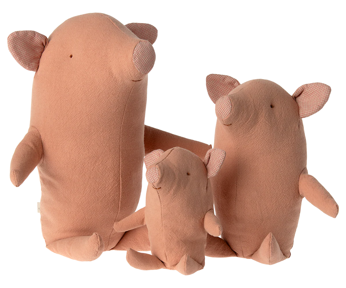 Small Truffle Pig