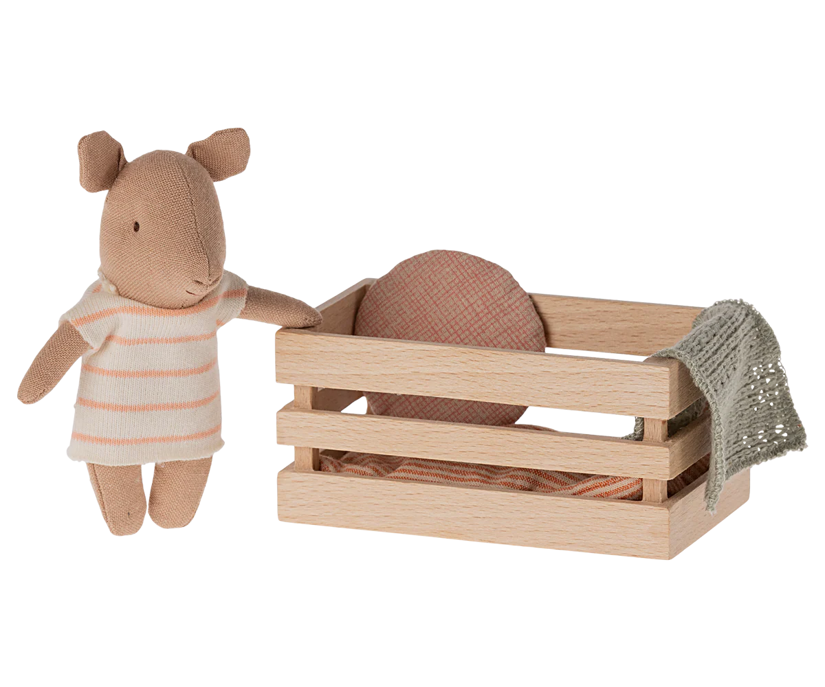 Girl Pig Baby in box