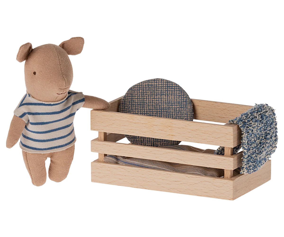 Boy Pig in a Box