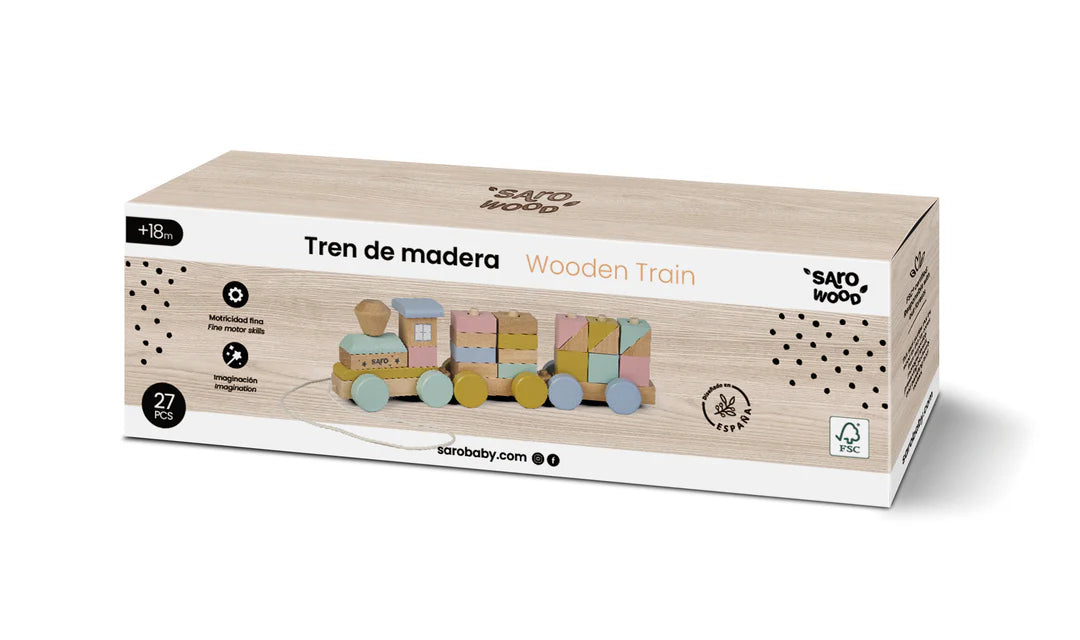 Rainbow Wooden Train