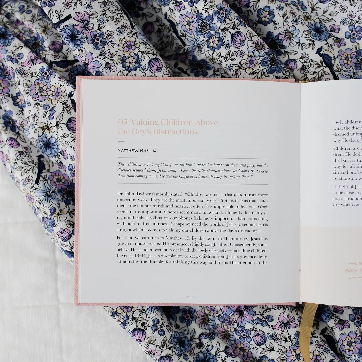 Steadfast Motherhood Devotional