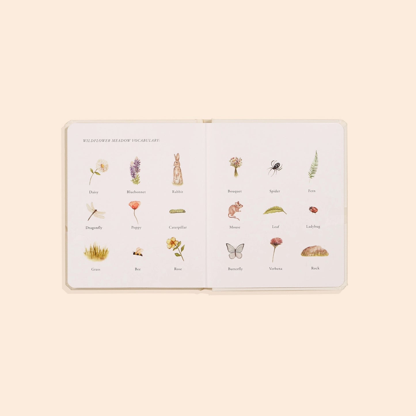 Set of children's board books from Our Little Adventures by Paige Tate & Co., featuring colorful illustrated covers.