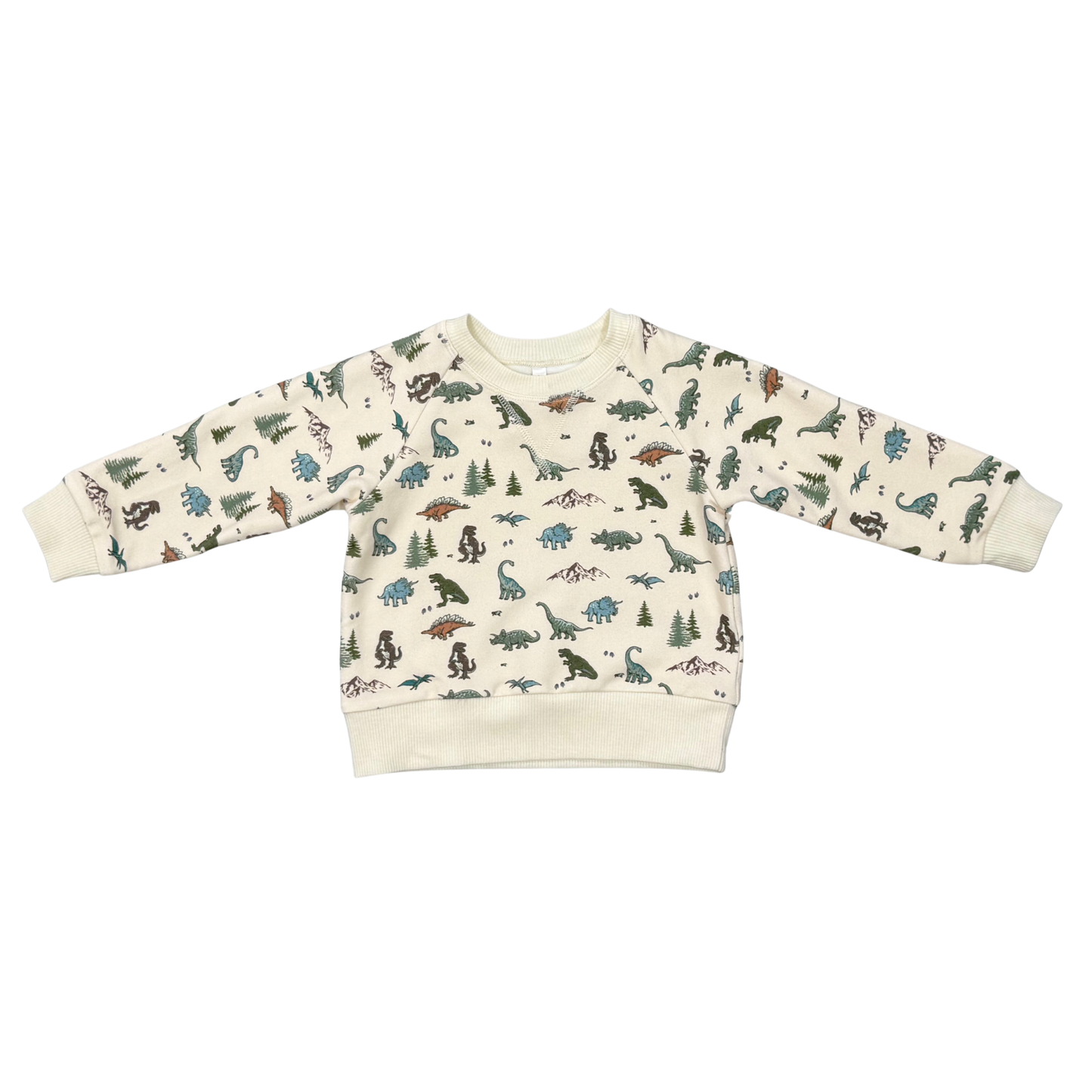 Baby Babysprouts Dinosaur Fleece Sweatshirt with colorful dinosaur print, soft fleece fabric, and ribbed cuffs for comfort.