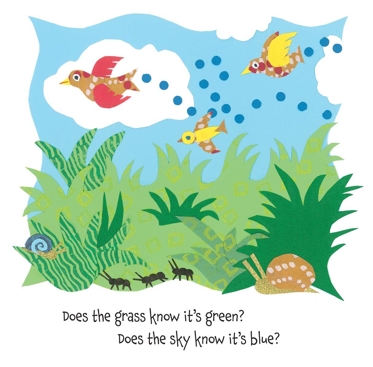 Colors of Me Book