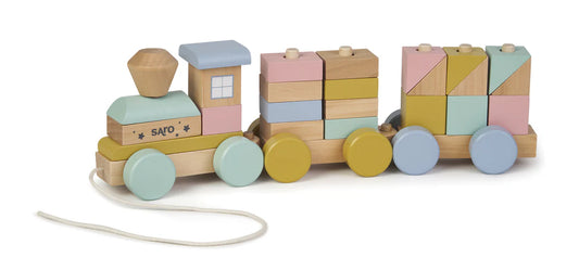 Rainbow Wooden Train