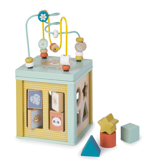 Multi-Activity Wooden Cube