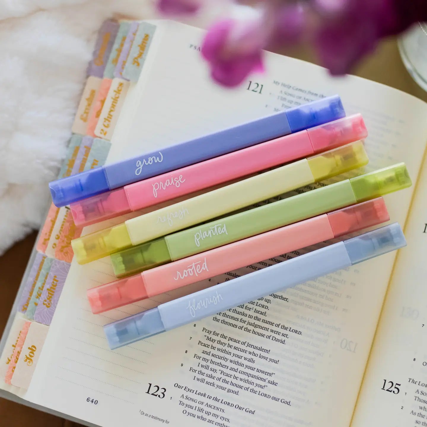Garden Highlighter Set from The Daily Grace Co with colorful pens and markers for creative gardening and plant labeling.