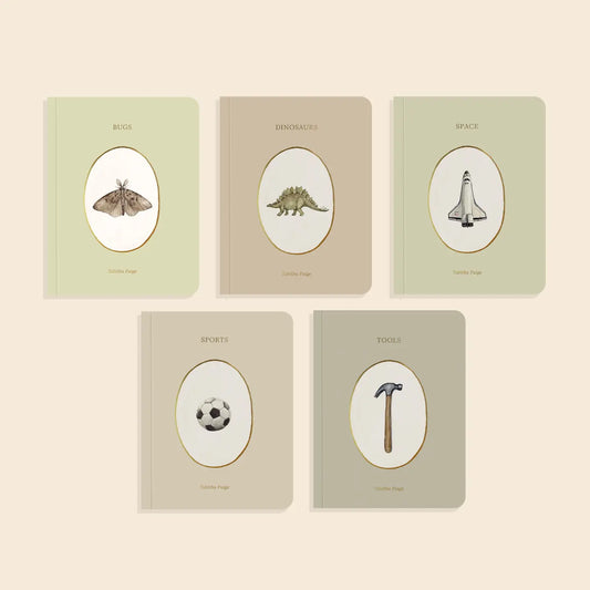 Set of five board books from Our Little Library Vol. 3 by Paige Tate & Co., featuring colorful illustrations for young children.