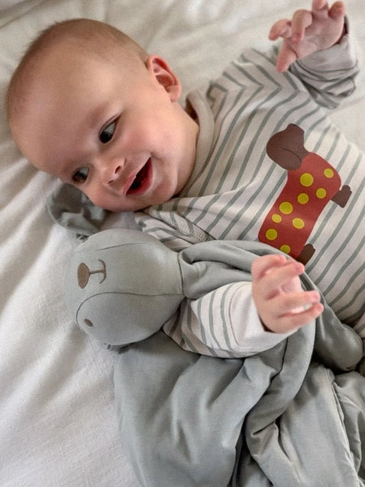 Lovey Bunny - Jack