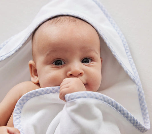 Blue Gingham Trim Hooded Towel and Washcloth Set