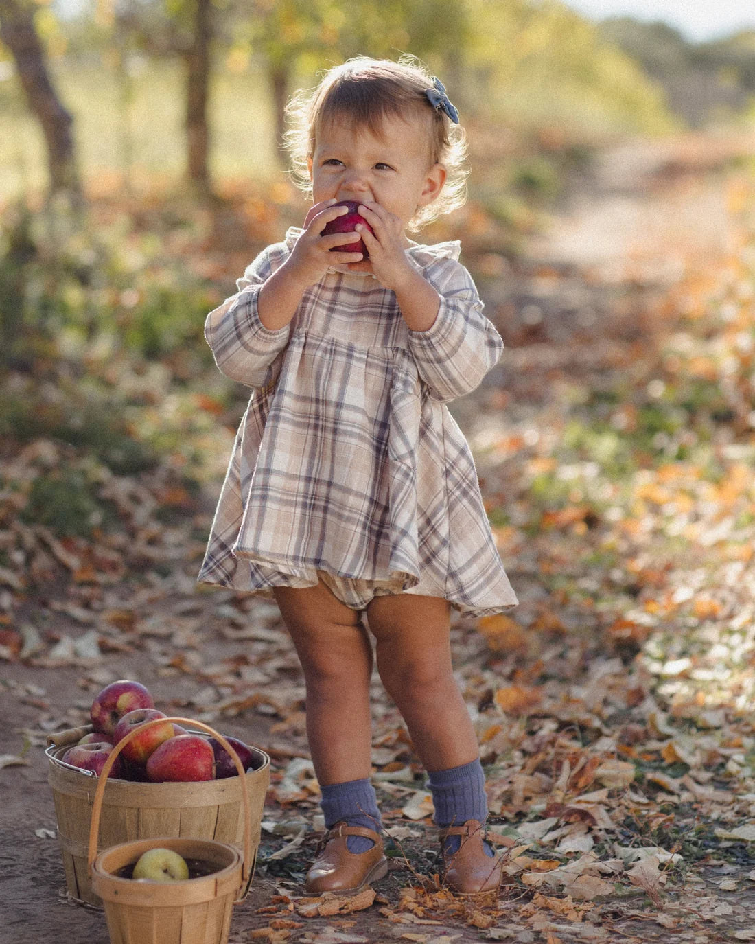 Fall Plaid Simone Dress