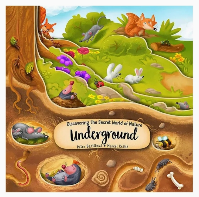 Underground Layered Board Book