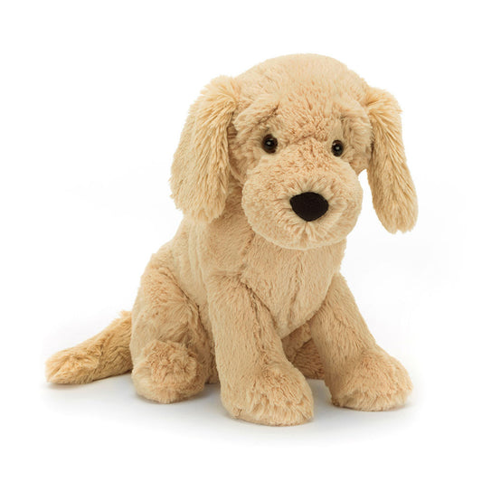 Golden Puppy