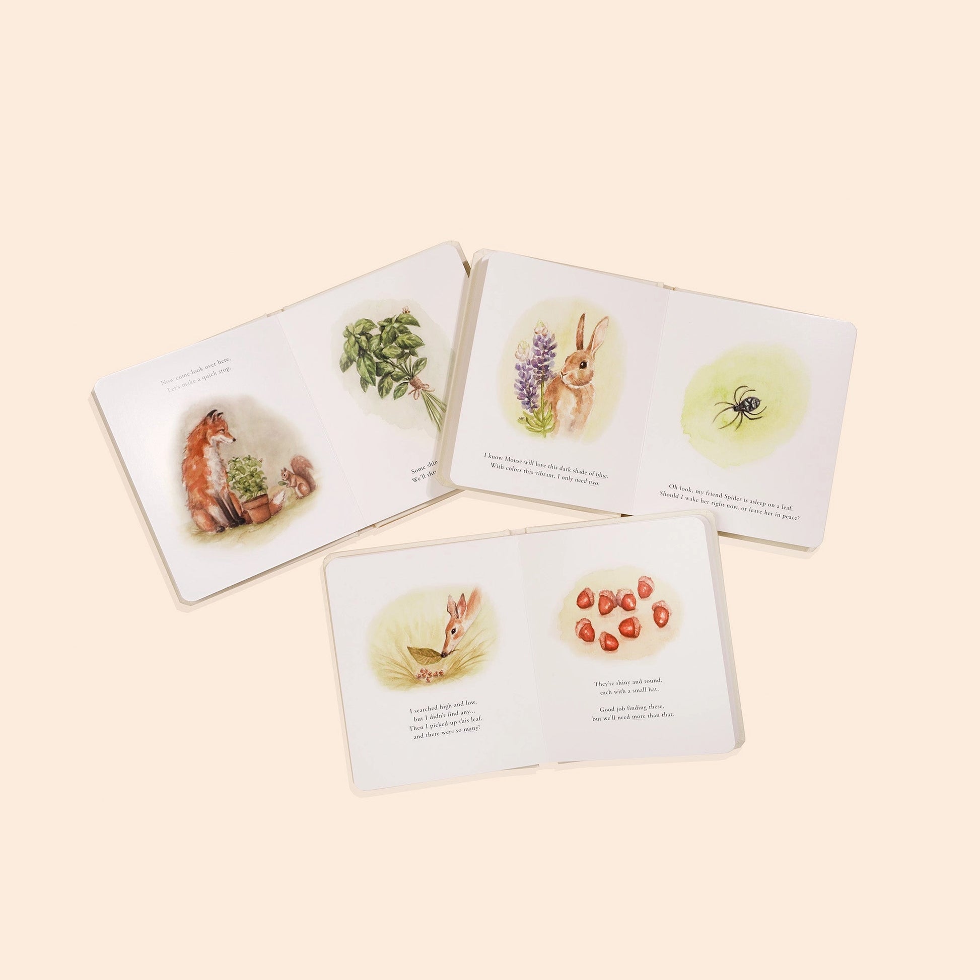 Set of children's board books from Our Little Adventures by Paige Tate & Co., featuring colorful illustrated covers.