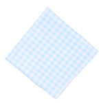 Magnolia Baby - Peek-A-Boo Wishes Light Blue Swaddle Blanket