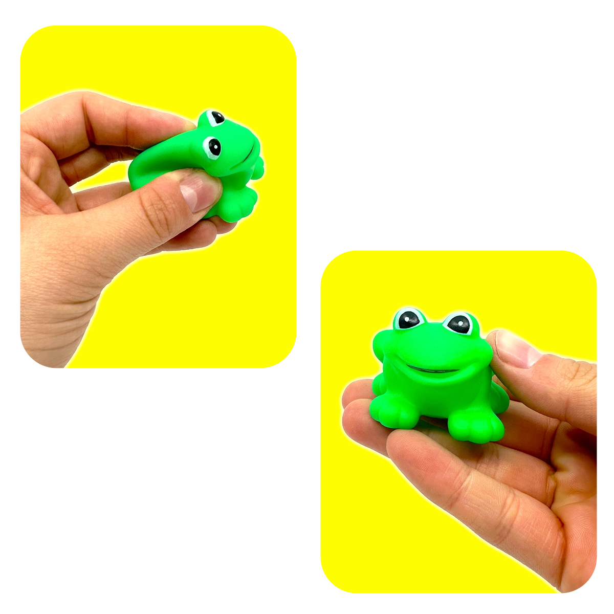 So Much Fun! Squeaking Frog