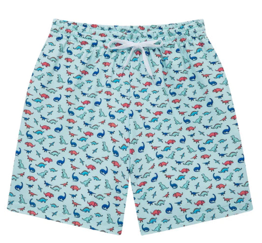 Dino Swim Trunks
