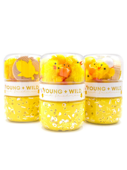 Fuzzy Chick Grab & Go Dough Jar from Young Wild and Friedman with fuzzy chick design and convenient portable container for playdough.