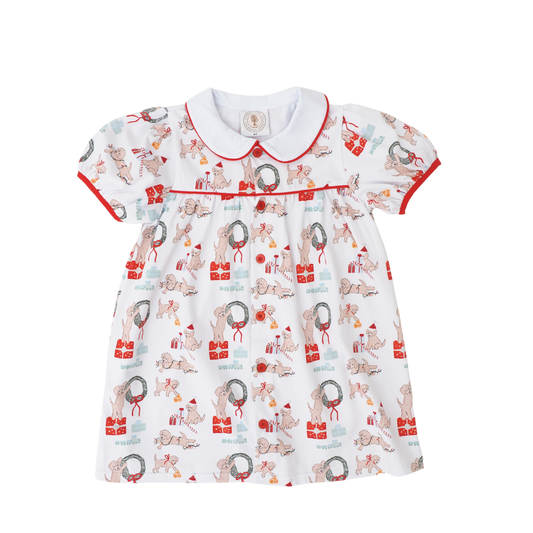 Cypress Row Santa Paws Paisley Proper Dress featuring red and green paisley pattern for festive pet holiday attire.