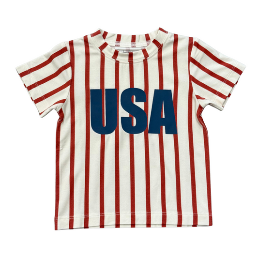 Baby Boys' short sleeve T-shirt from Babysprouts featuring a USA flag design and comfortable cotton fabric.